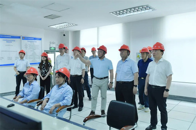 最高法咨詢委員會(huì)副主任兼秘書長(zhǎng)杜萬(wàn)華一行蒞臨澄星股份考察指導(dǎo)