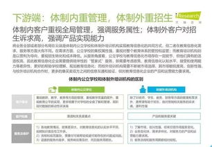 2019年中國(guó)教育信息化行業(yè)報(bào)告 信息技術(shù)咨詢服務(wù)